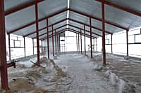 Канашский район: место встречи – начинающие крестьянско-фермерские хозяйства (фото №2).