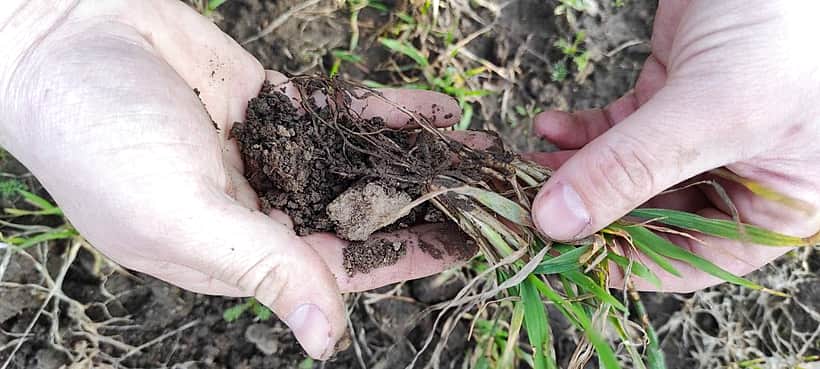 В Канашском районе начались весенне-полевые работы.