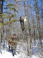 В КУ "Канашское лесничество" организованы мероприятия, приуроченные к Международному дню птиц (фото №1).