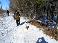 В КУ "Канашское лесничество" организованы мероприятия, приуроченные к Международному дню птиц (фото №2).