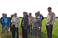 В Канашском районе 3 июня начался комиссионный смотр посевов сельскохозяйственных культур (фото №9).