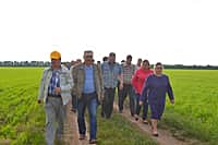 В Канашском районе 3 июня начался комиссионный смотр посевов сельскохозяйственных культур (фото №10).