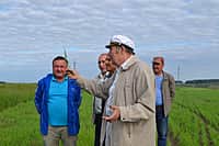 В Канашском районе 3 июня начался комиссионный смотр посевов сельскохозяйственных культур (фото №11).