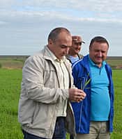 В Канашском районе 3 июня начался комиссионный смотр посевов сельскохозяйственных культур (фото №12).