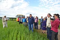 В Канашском районе 3 июня начался комиссионный смотр посевов сельскохозяйственных культур (фото №13).