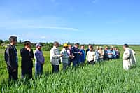 В Канашском районе 3 июня начался комиссионный смотр посевов сельскохозяйственных культур (фото №15).