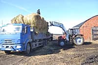 В Канашском районе в ближайшие дни приступят к весенне-полевым работам (фото №13).