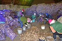 В Канашском районе в ближайшие дни приступят к весенне-полевым работам (фото №14).