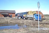 В Канашском районе в ближайшие дни приступят к весенне-полевым работам (фото №16).