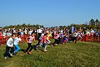 В Канашском районе дан старт Всероссийскому бегу "Кросс наций - 2015" (фото №13).