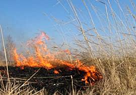 В Канашском районе из-за пала сухой травы и сжигания мусора сгорели 6 домов и автомобиль.