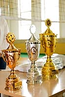 В Канашском районе прошли финальные соревнования среди работников организаций Газпрома республики (фото №54).