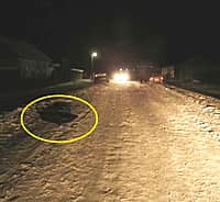 В Канашском районе в результате ДТП погиб 17-летний парень (фото №1).