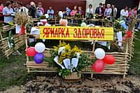 В Канашском районе состоялось открытие сразу двух ФАПов - в деревнях Мокры и Вторые Хормалы (фото №4).