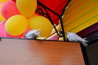 В Канашском районе состоялось открытие сразу двух ФАПов - в деревнях Мокры и Вторые Хормалы (фото №22).