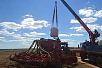 В Канашском районе яровых зерновых и зернобобовых культур посеяно на площади 5646 га (42% от плана) (фото №8).