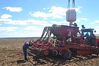 В Канашском районе яровых зерновых и зернобобовых культур посеяно на площади 5646 га (42% от плана) (фото №9).