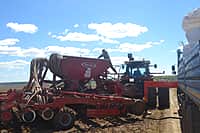 В Канашском районе яровых зерновых и зернобобовых культур посеяно на площади 5646 га (42% от плана) (фото №10).