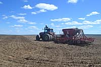 В Канашском районе яровых зерновых и зернобобовых культур посеяно на площади 5646 га (42% от плана) (фото №11).