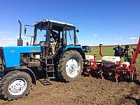 В Канашском районе яровых зерновых и зернобобовых культур посеяно на площади 5646 га (42% от плана) (фото №14).