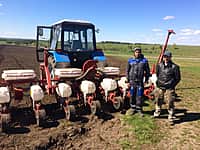 В Канашском районе яровых зерновых и зернобобовых культур посеяно на площади 5646 га (42% от плана) (фото №15).