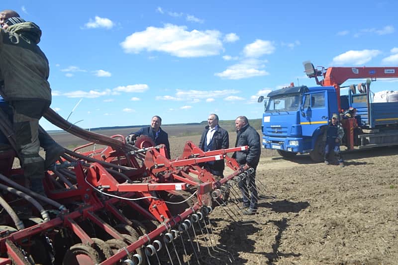 В Канашском районе яровых зерновых и зернобобовых культур посеяно на площади 5646 га (42% от плана).