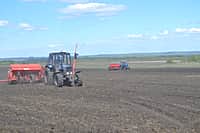 В Канашском районе яровых зерновых и зернобобовых культур посеяно на площади 5646 га (42% от плана) (фото №2).