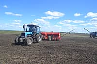 В Канашском районе яровых зерновых и зернобобовых культур посеяно на площади 5646 га (42% от плана) (фото №3).