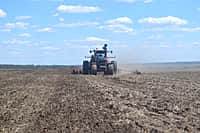 В Канашском районе яровых зерновых и зернобобовых культур посеяно на площади 5646 га (42% от плана) (фото №5).