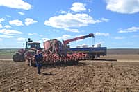 В Канашском районе яровых зерновых и зернобобовых культур посеяно на площади 5646 га (42% от плана) (фото №7).