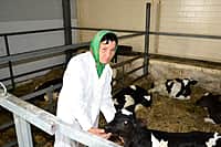 В Канашском районе завершается подготовка животноводческих помещений к зимне-стойловому содержанию скота (фото №5).