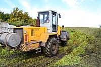 В Канашском районе завершается подготовка животноводческих помещений к зимне-стойловому содержанию скота (фото №8).