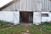 В Канашском районе завершается подготовка животноводческих помещений к зимне-стойловому содержанию скота (фото №9).