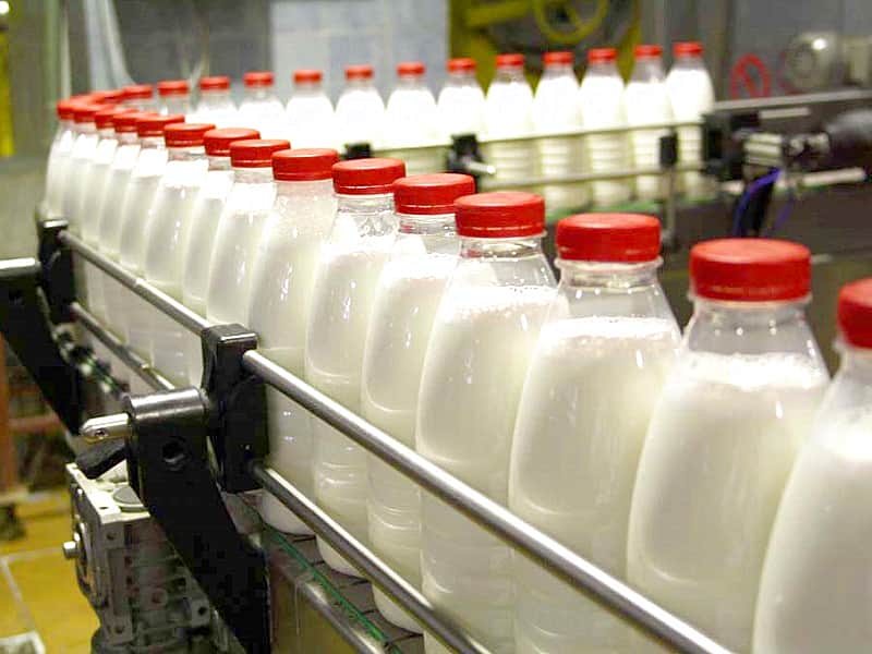 Китайцам предложили перенести молокозавод из Моргаушского района в Канаш.