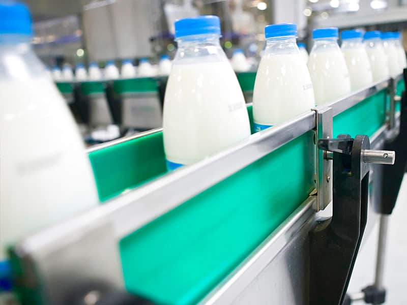 Китайцы хотят построить завод по переработке молока в Моргаушском районе.