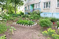 Комиссия осмотрела дворы-участники канашского городского конкурса "Лучший двор - 2016" (фото №10).