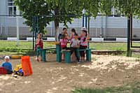 Комиссия осмотрела дворы-участники канашского городского конкурса "Лучший двор - 2016" (фото №13).