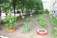 Комиссия осмотрела дворы-участники канашского городского конкурса "Лучший двор - 2016" (фото №19).