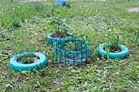 Комиссия осмотрела дворы-участники канашского городского конкурса "Лучший двор - 2016" (фото №23).