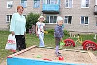 Комиссия осмотрела дворы-участники канашского городского конкурса "Лучший двор - 2016" (фото №25).