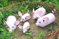 Комиссия осмотрела дворы-участники канашского городского конкурса "Лучший двор - 2016" (фото №30).