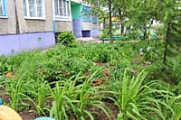 Комиссия осмотрела дворы-участники канашского городского конкурса "Лучший двор - 2016" (фото №3).