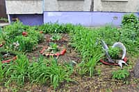 Комиссия осмотрела дворы-участники канашского городского конкурса "Лучший двор - 2016" (фото №4).