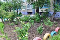 Комиссия осмотрела дворы-участники канашского городского конкурса "Лучший двор - 2016" (фото №6).