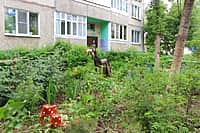 Комиссия осмотрела дворы-участники канашского городского конкурса "Лучший двор - 2016" (фото №7).