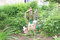 Комиссия осмотрела дворы-участники канашского городского конкурса "Лучший двор - 2016" (фото №8).