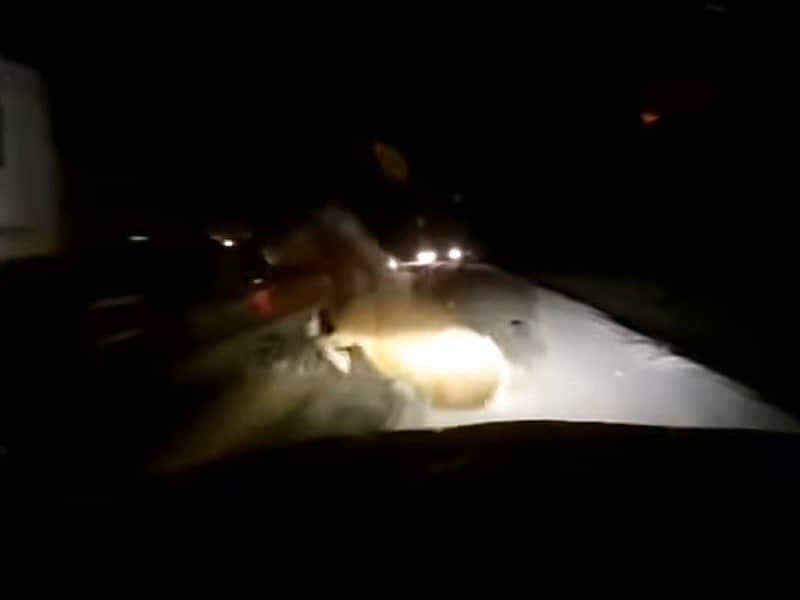 В Комсомольском районе молоковоз сбил сбежавший с фермы табун лошадей.