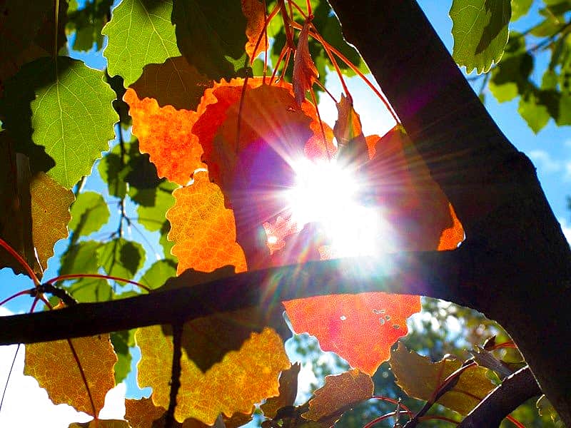 К концу недели в Чувашии немного потеплеет.