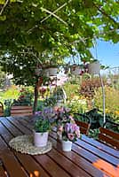 Объявлен республиканский конкурс на лучшее озеленение и благоустройство (фото №6).