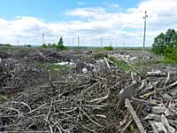 Кто превращает город в большой мусорный полигон? (фото №6).